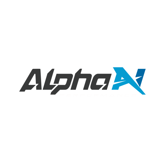 Alpha-N Performance